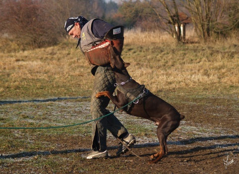 The christmas training 27.12.2006